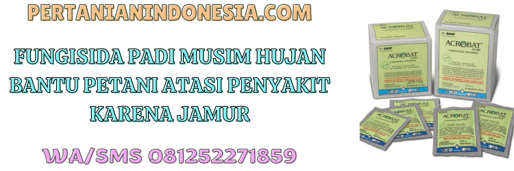 fungisida,pestisida,pestisida jenis fungisida,jamur,cendawan,pertanian indonesia